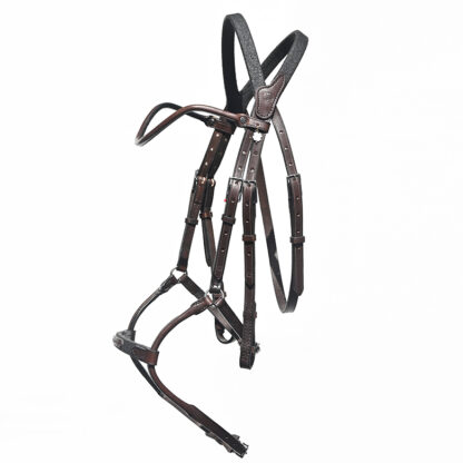 Bridle Evolution | Infinity