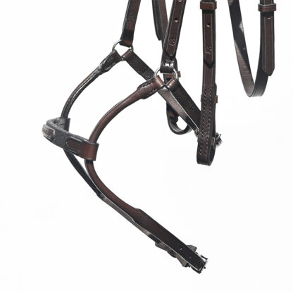 Bridle Evolution | Infinity - Image 5